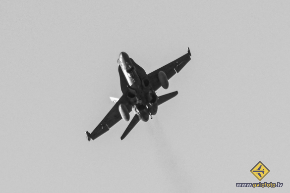 McDonnell Douglas EF-18M Hornet